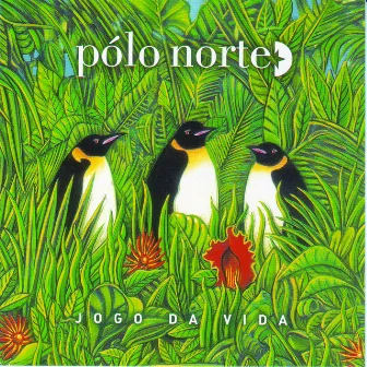 Jogo Da Vida by Pólo Norte