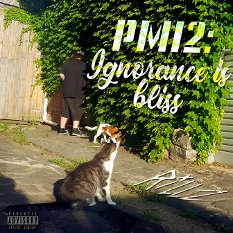 Pardon My Ignorance 2: Ignorance Is Bliss by Rillz