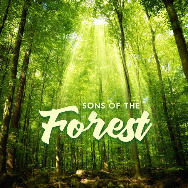 Sons Of The Forest – Soaking In Relaxation