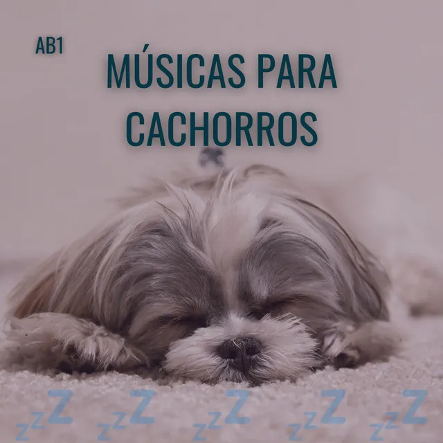 Musica para Acalmar Cachorro