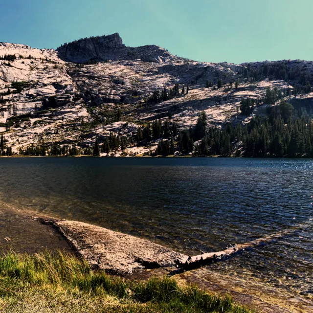 Sounds of Yosemite