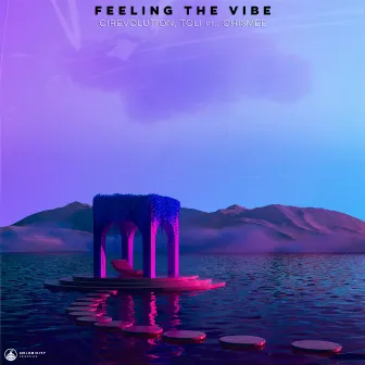 Feeling The Vibe by CIRE