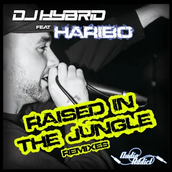 Raised In The Jungle Remixes by Haribo