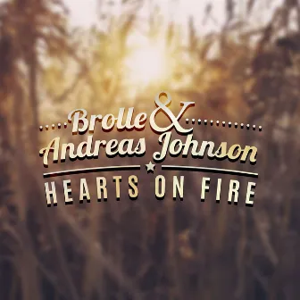 Hearts On Fire by Andreas Johnson