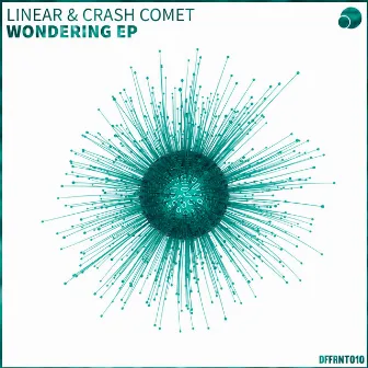 Wondering by Crash Comet