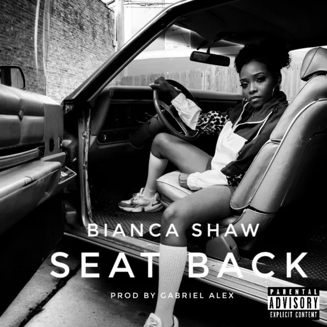 Seat Back