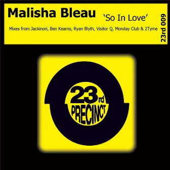 So in Love by Malisha Bleau