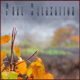 Pure Relaxation: Background Music for Stress Relief by 