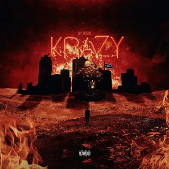 Dy Went Krazy by DY Krazy