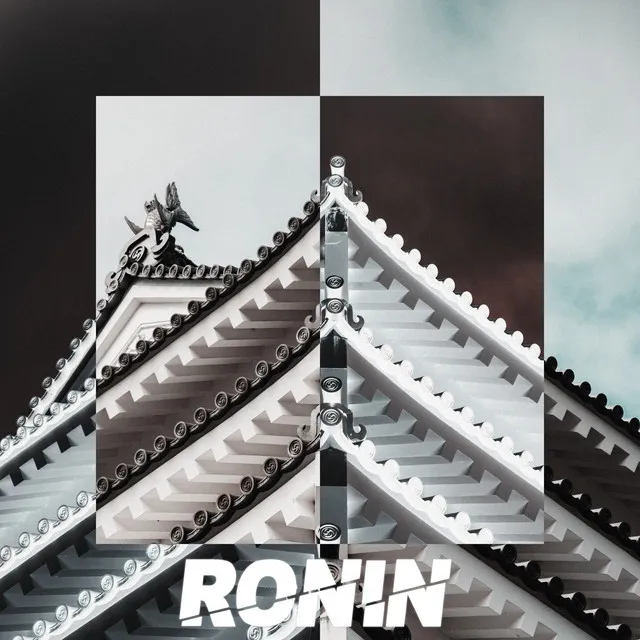 Ronin - House Edit