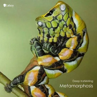 Metamorphosis by Deep Inzhiniring