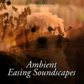 Ambient Easing Soundscapes by Music for Puppies