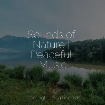 Sounds of Nature | Peaceful Music by Sons da Natureza & Relaxamento