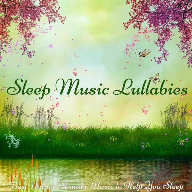 Baby Songs for Sleeping