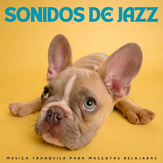 Clásicos del jazz suave