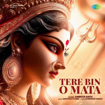 Tere Bin O Mata by Amruta Natu