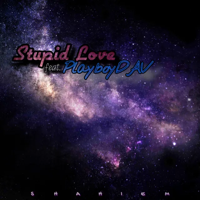 Stupid Love