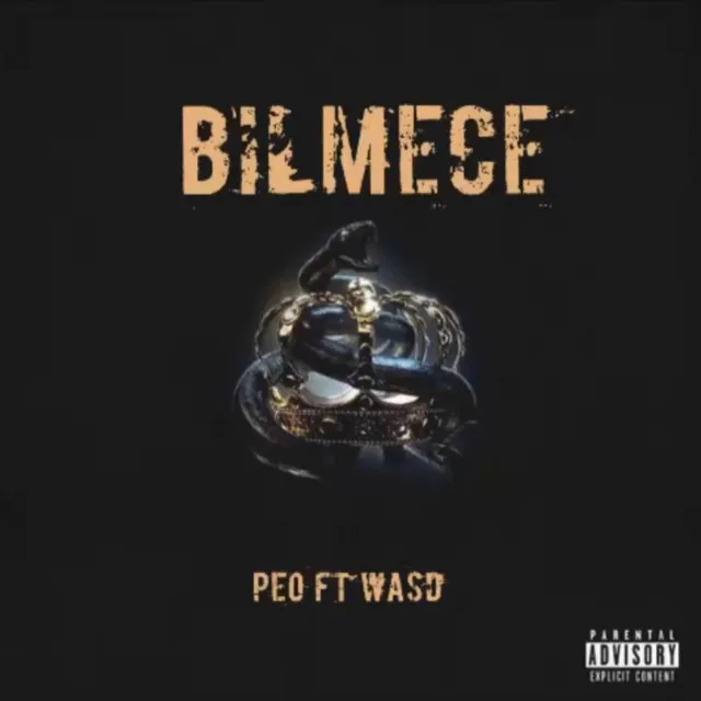 Bilmece