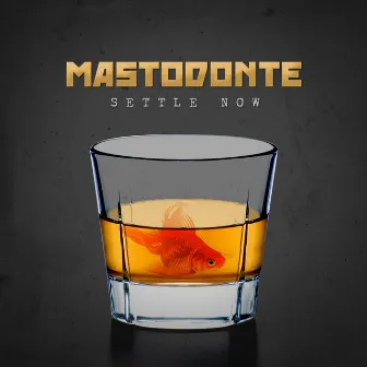 Settle Now by Mastodonte