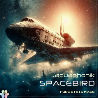 Spacebird (Pure State Mixes) by Aquaphonik