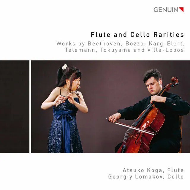 Contrastes I (Arr. for Flute & Cello): V. Largetto sostenuto