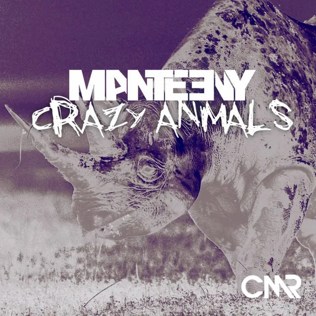 Crazy Animals - Original Mix