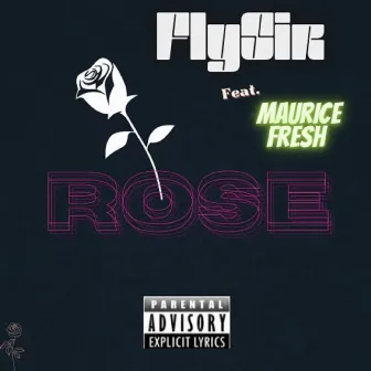 Rose by FlySir