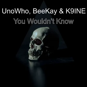 You Wouldn't Know by Beekay