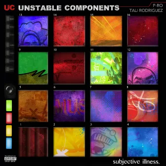 Subjective Illness by Unstable Components