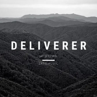 DELIVERER by Jay D Ripper