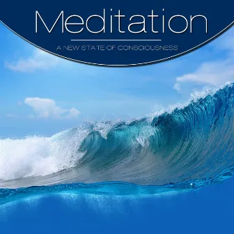 Meditation, Vol. Dark Blue, Vol. 3 by Meditation String