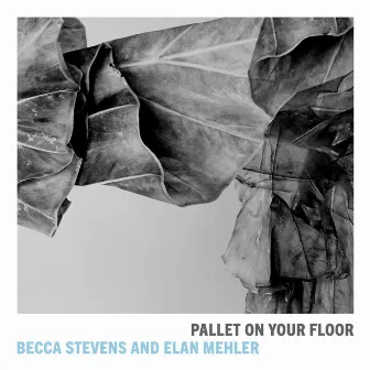 Pallet on Your Floor by Elan Mehler