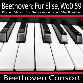 Beethoven: Fur Elise, Woo 59 by Beethoven Consort