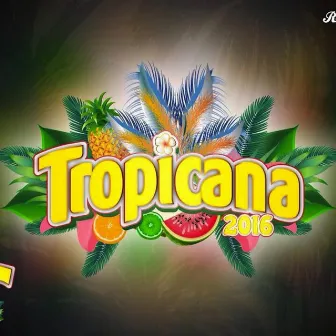 Tropicana 2016 (Pappa's Lille Skatt) by Sportsalleen