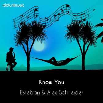 Know You by Alex Schneider