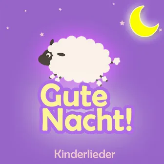 Gute Nacht (Schlaflieder, Babylieder Und Kinder Lieder Zum Mitsingen Und Einschlafen Als Kindermusik Auf Dem Klavier Und Piano) by Kinderlieder