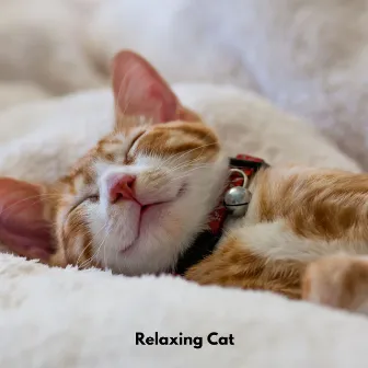 Relaxing Cat by Cat Relaxing Sounds TA