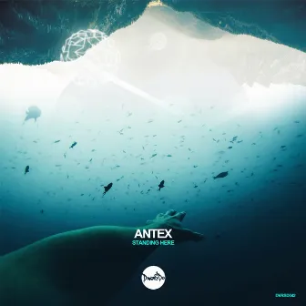 Standing Here by Antex