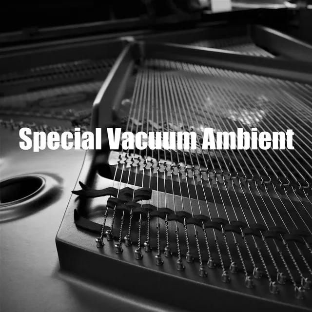 Special Vacuum Ambient