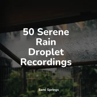 50 Serene Rain Droplet Recordings by Natural Sample Makers