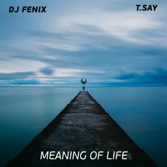 Meaning of Life by DJ Fenix