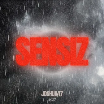 Sensiz by Joshua47