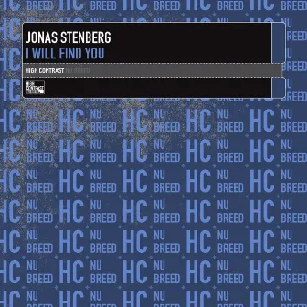 I Will Find You by Jonas Stenberg