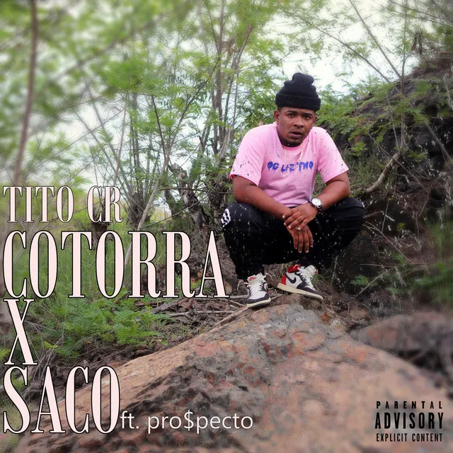 Cotorra X Saco