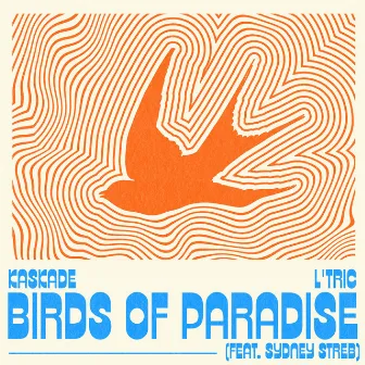 Birds of Paradise by L'Tric