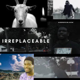 Irreplaceable by Adonis Black