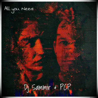 All You Need by Dj Sammir