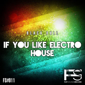 If You Like Electro House by Black Bull