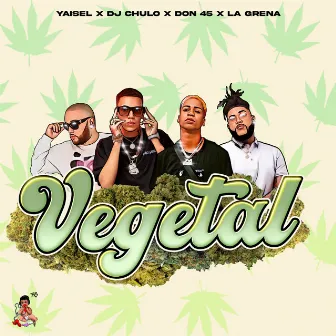 Vegetal by El Don 45