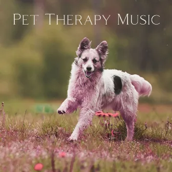 Pet Therapy Music: Dogs with Anxiety by Pet Music Academy